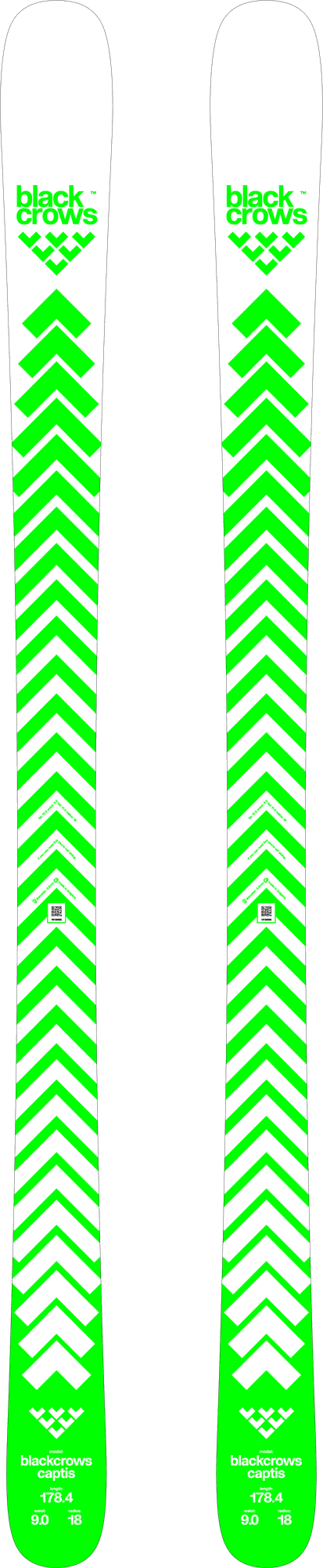 黑鸦 Captis